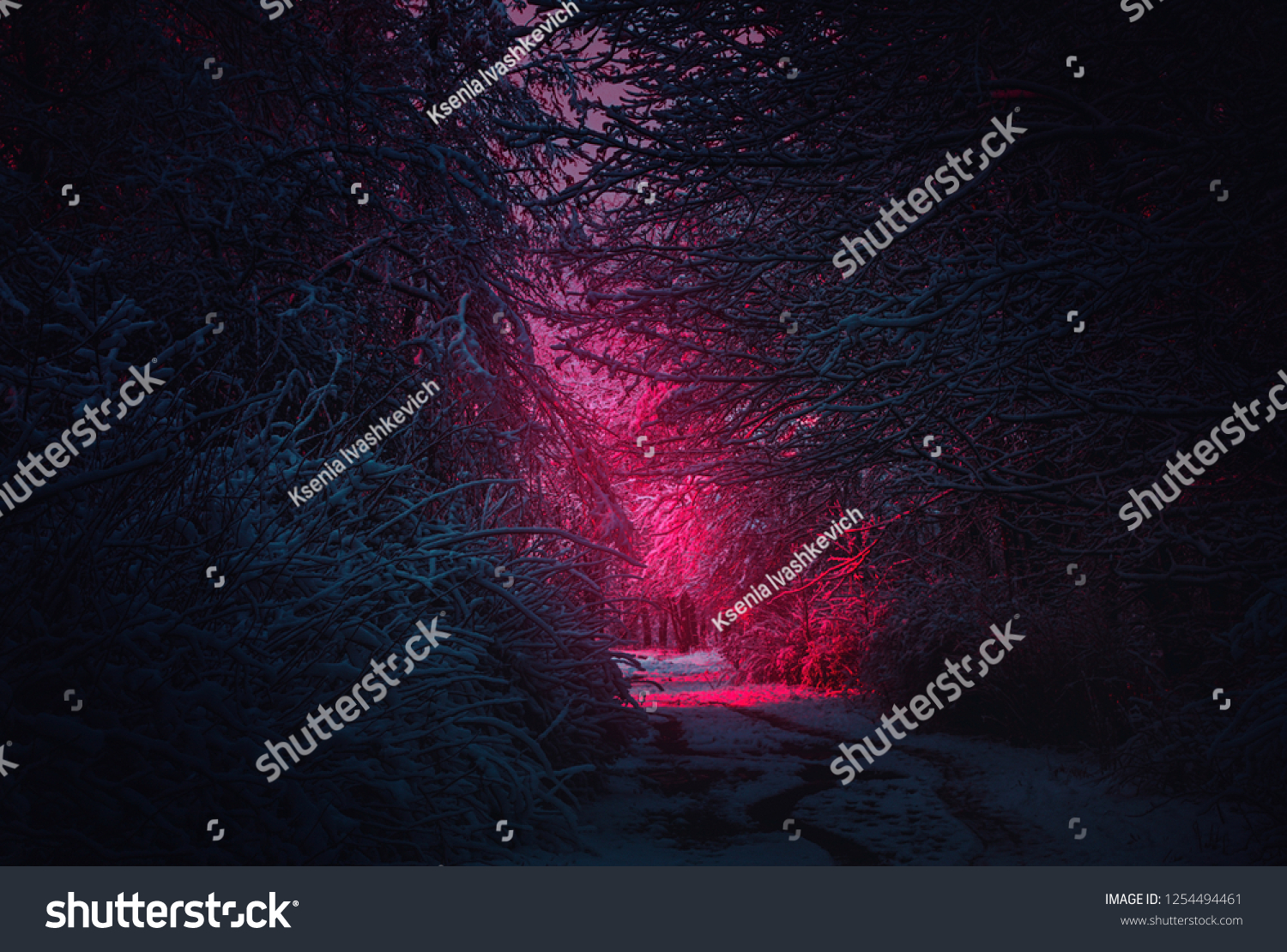 紫色の見知らぬ道 冬の風景 謎の妖精の森 背景に神秘的な雰囲気 雪の多い幻想的な森 ダークファンタジーの壁紙 ネオン色の怖い雰囲気 霧の中の妖精の森 の写真素材 今すぐ編集