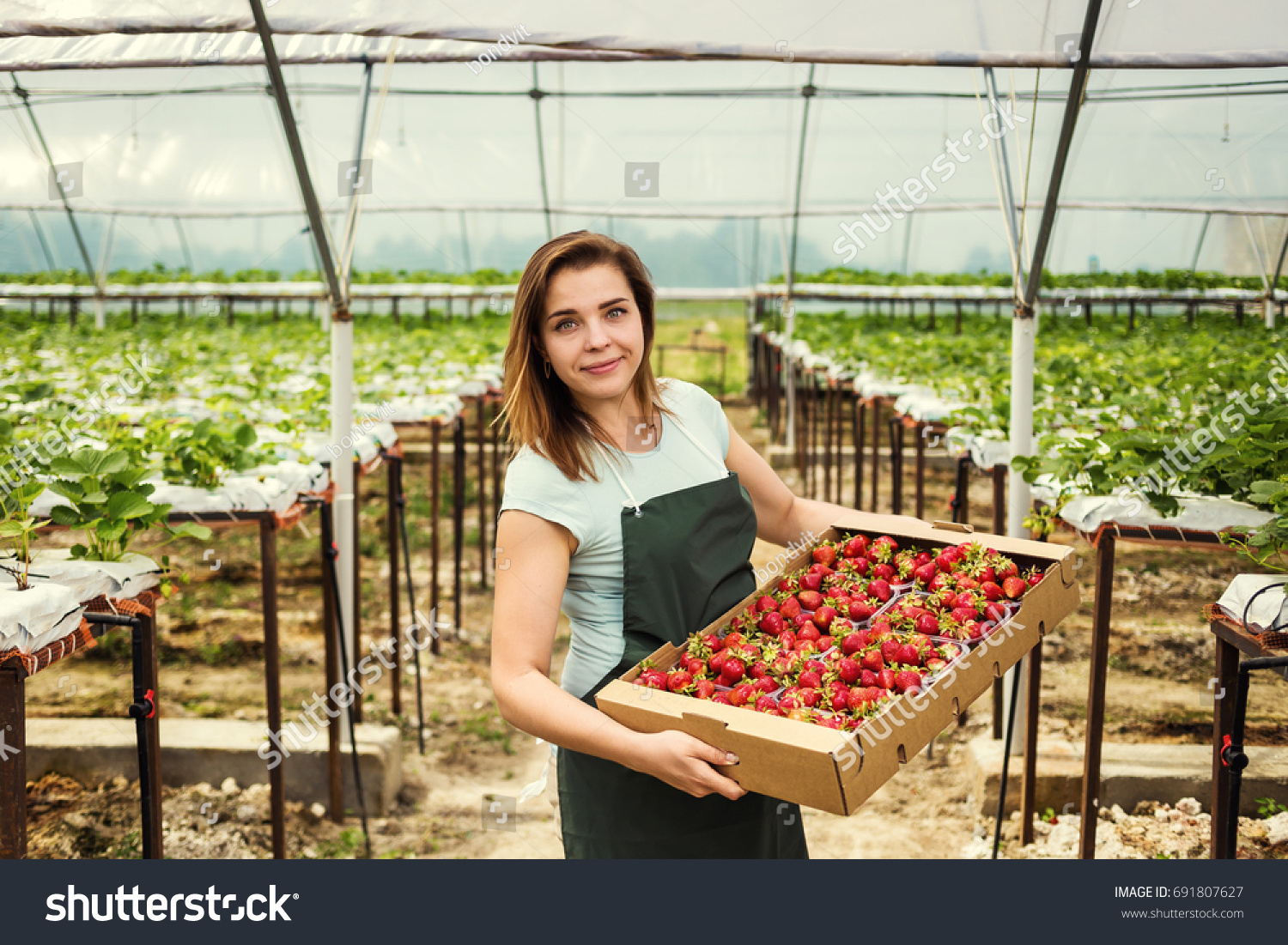 146,033 Seasonal workers Images, Stock Photos & Vectors | Shutterstock