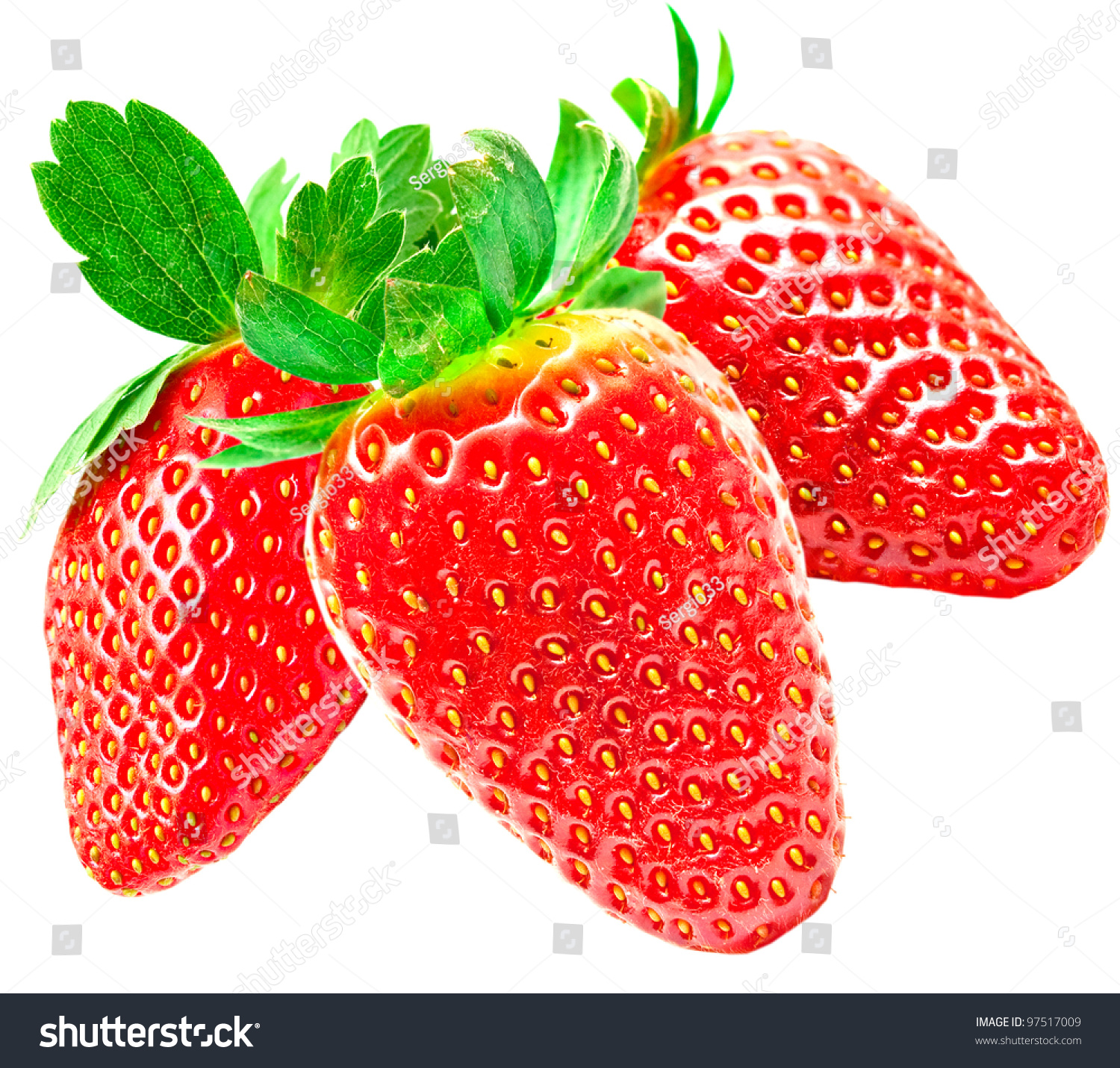 Strawberry Isolated On White Background Stock Photo 97517009 - Shutterstock
