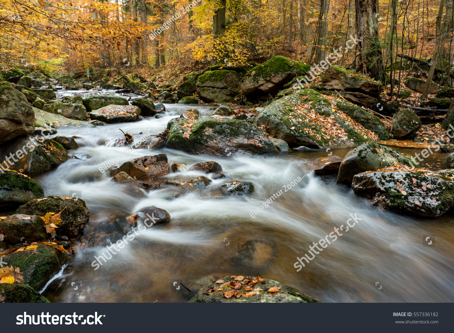 the fall stream german the fall stream german