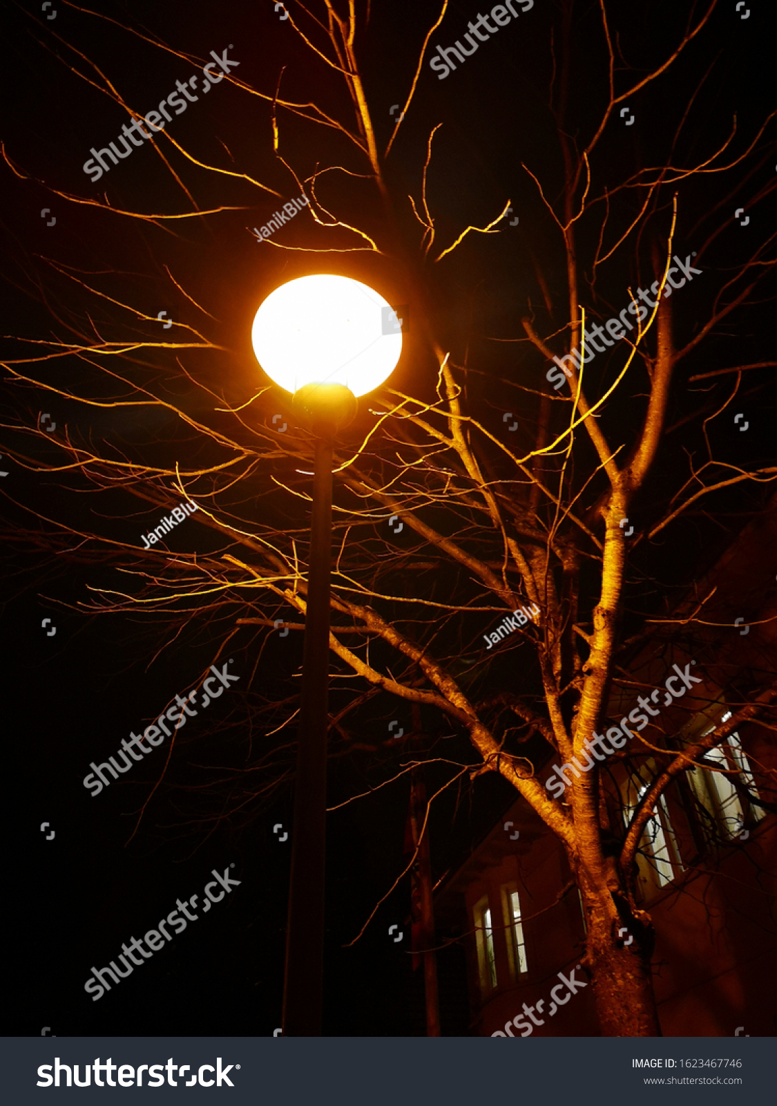 Streetlight Evening Cool Tree Background Stock Photo Edit Now 1623467746