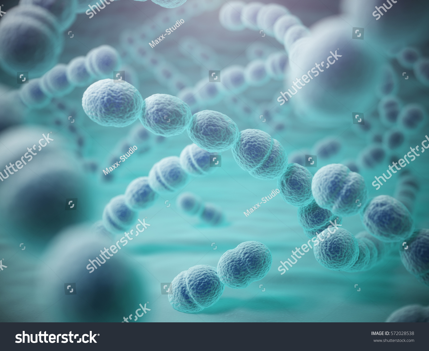 streptococcus-pneumoniae-o-pneumococcus-bacterias-ilustraci-n