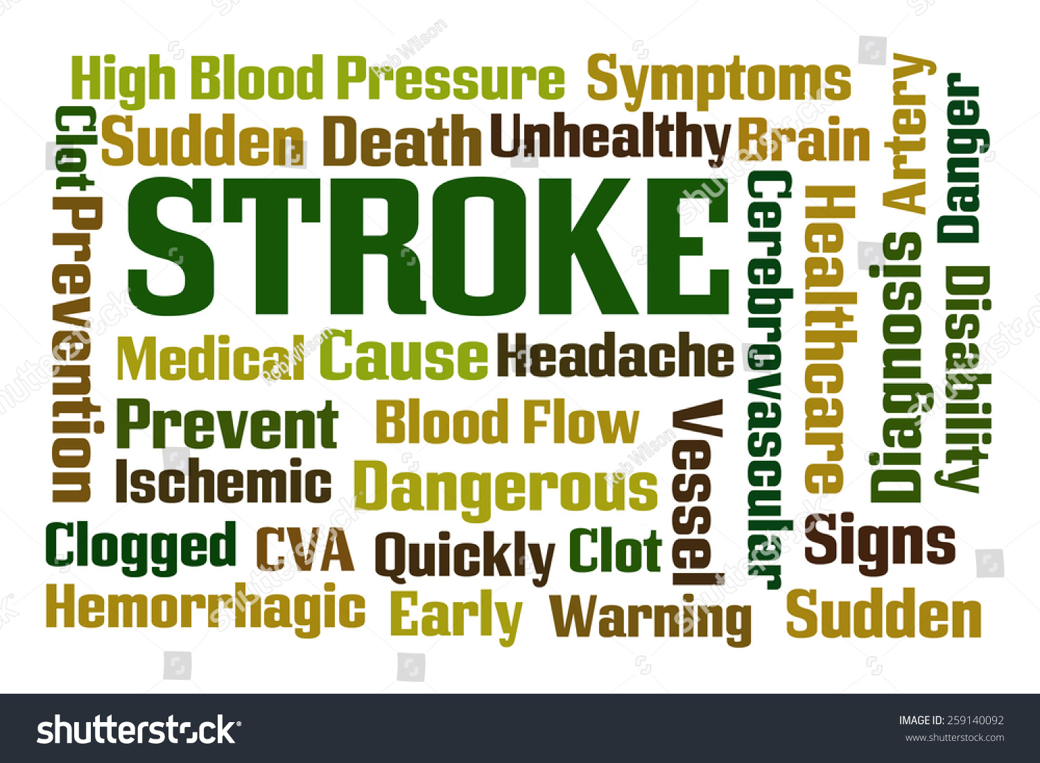 Stroke Word Cloud On White Background Stock Photo 259140092 : Shutterstock