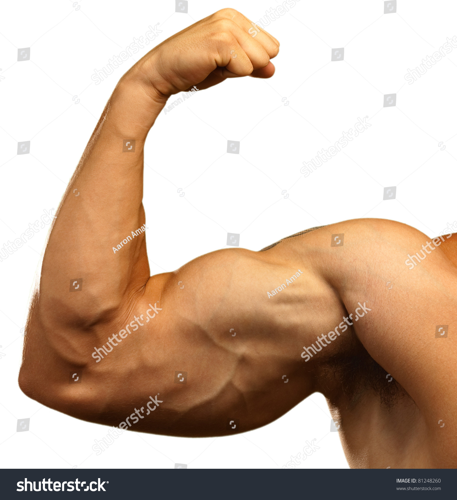 Strong Biceps On White Background Stock Photo 81248260 - Shutterstock