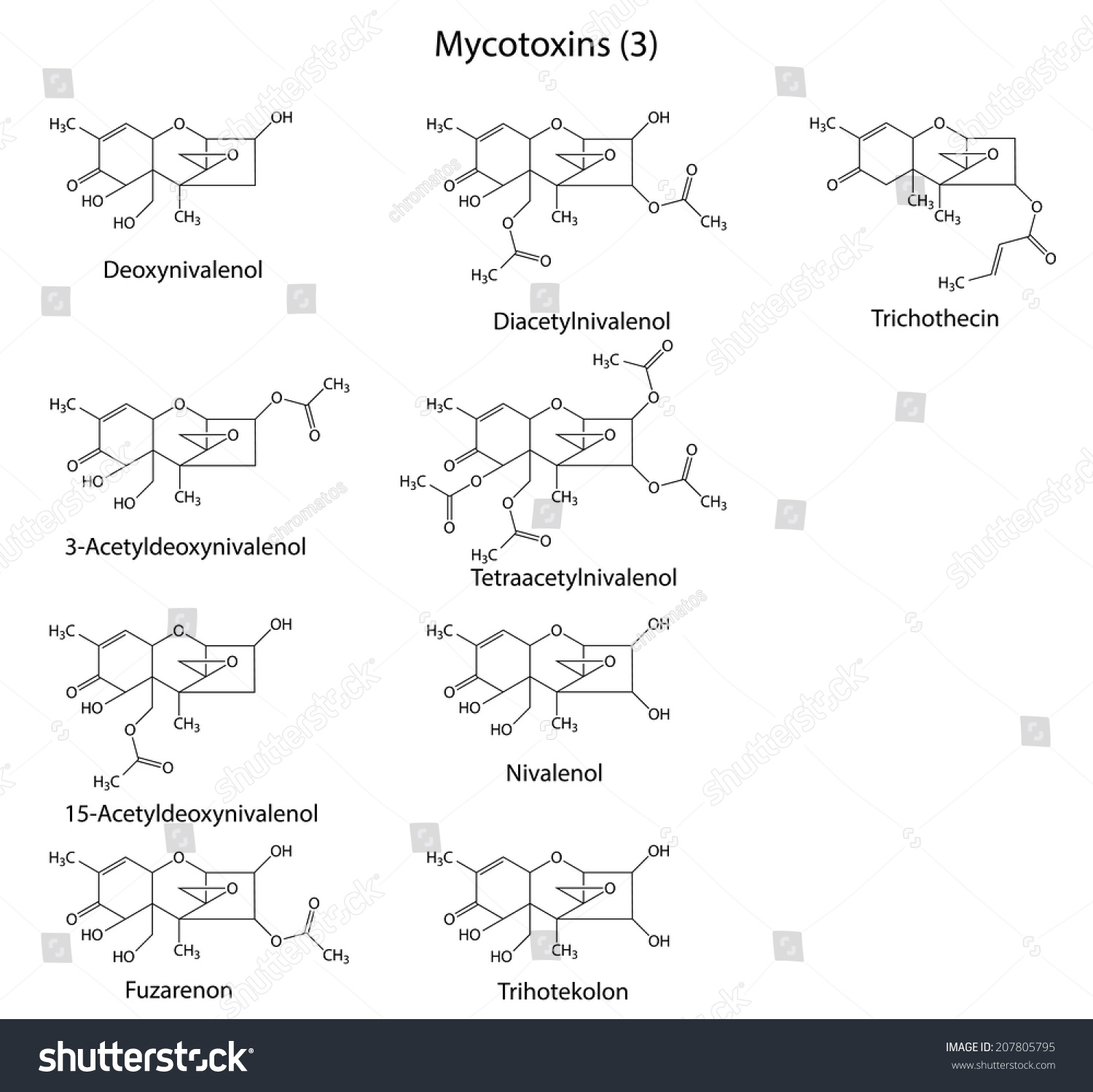 Structural Chemical Formulas Btype Mycotoxins 2d Stock Illustration ...