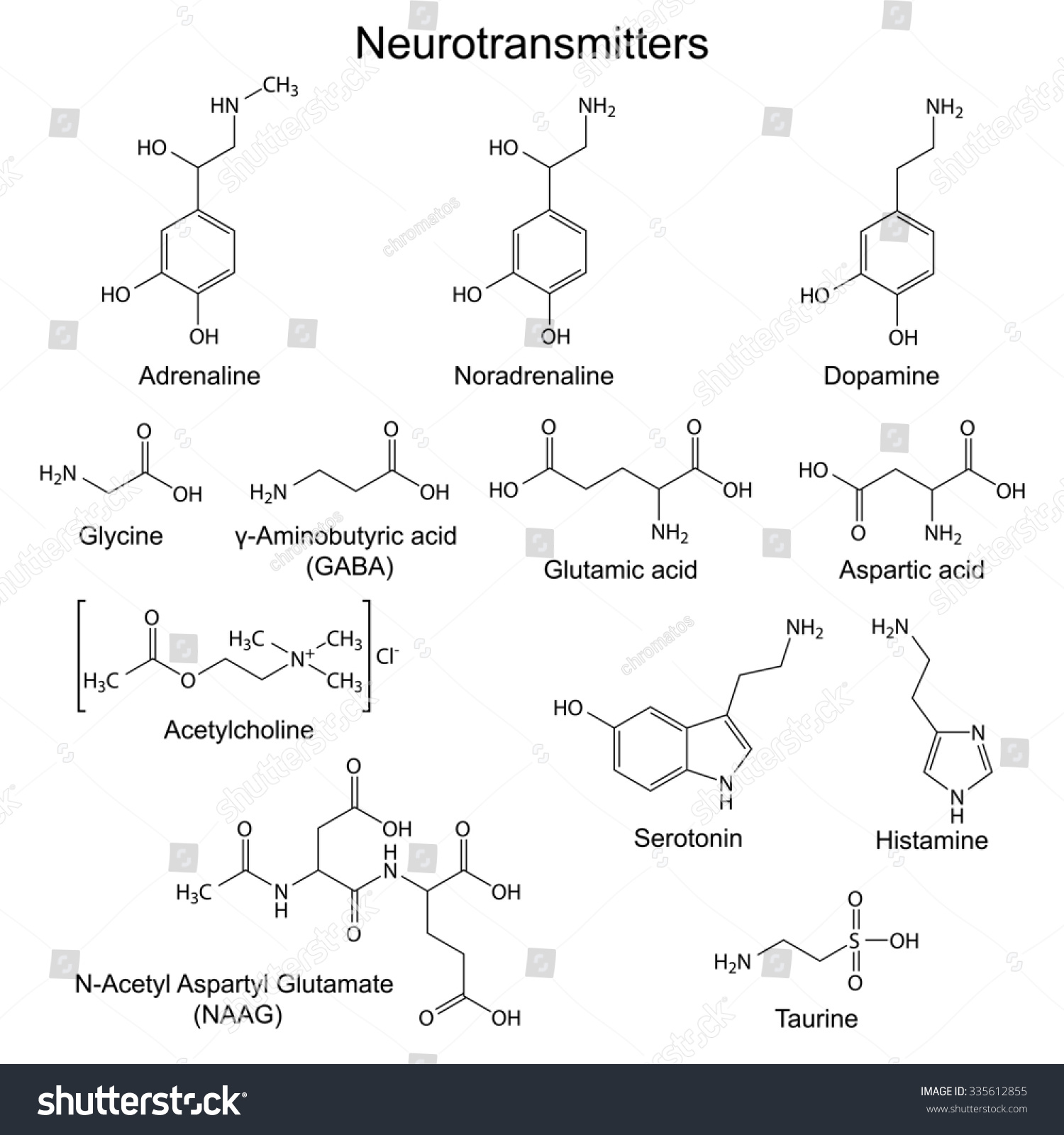 Structural Chemical Formulas Basic Neurotransmitters 2d 스톡 일러스트 ...