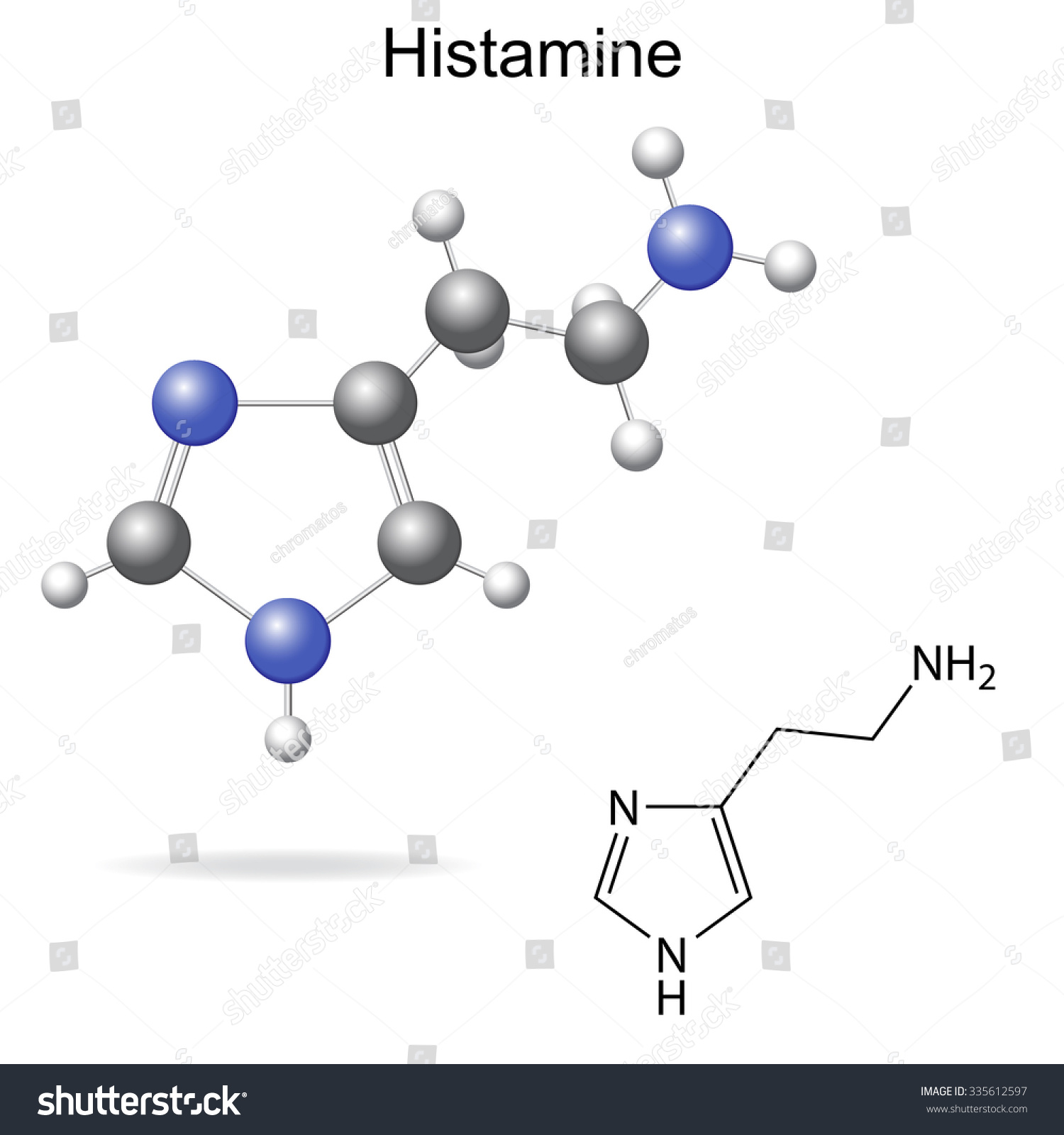 Structural Model Chemical Formula Histamine Molecule Stock Illustration ...