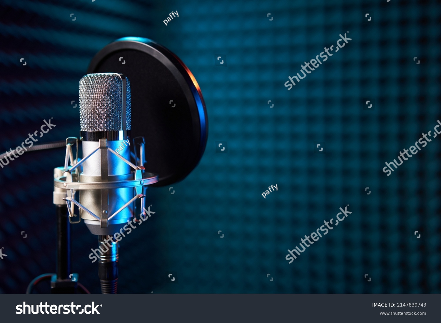 31,546 On air microphone Images, Stock Photos & Vectors | Shutterstock