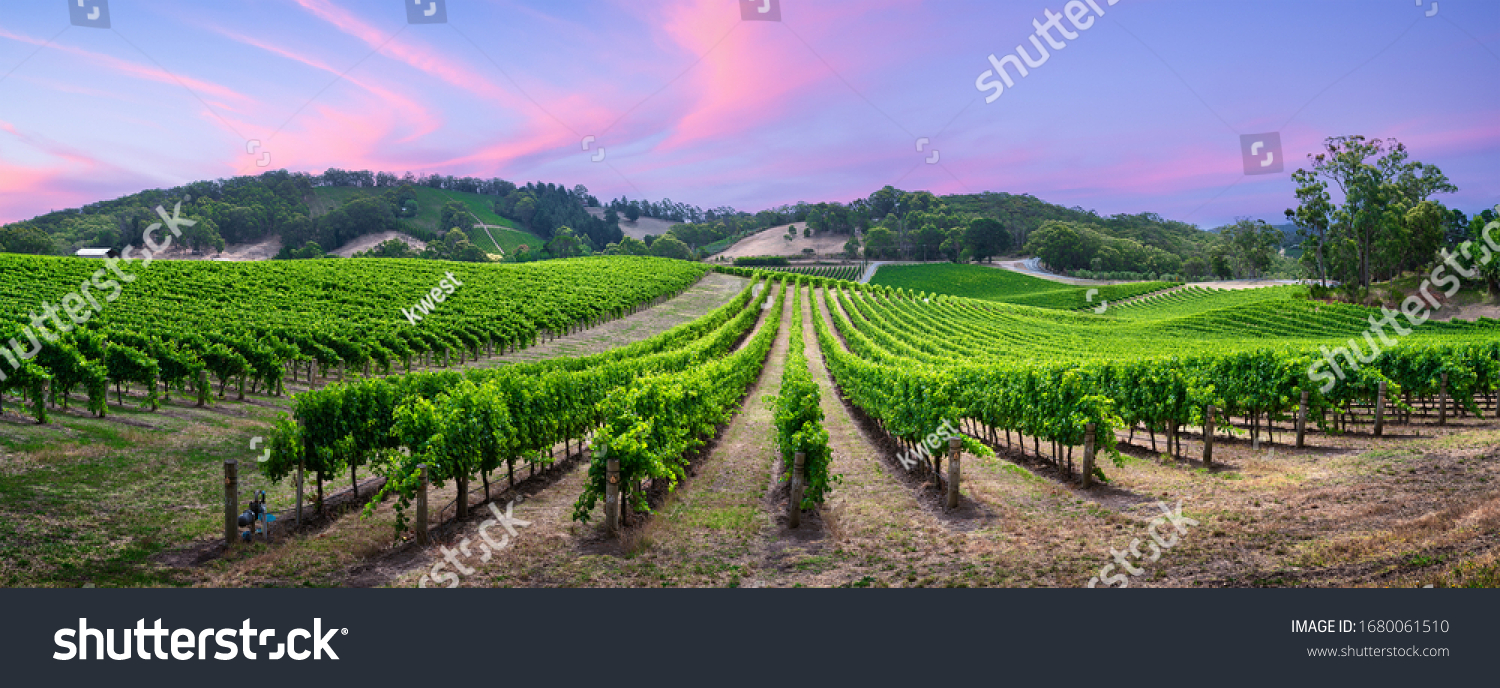 1,544 Australian vineyards Images, Stock Photos & Vectors | Shutterstock