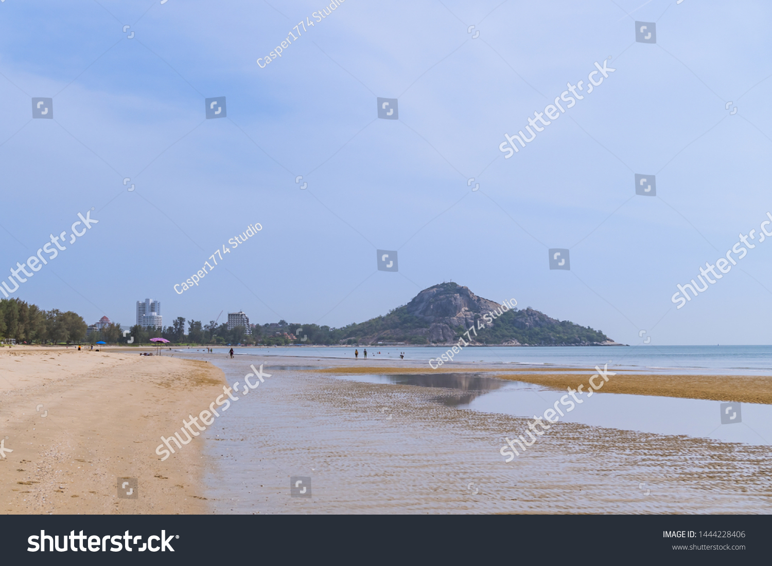 Suan Son Pradiphat Sea Pine Casuarina Stock Photo Edit Now