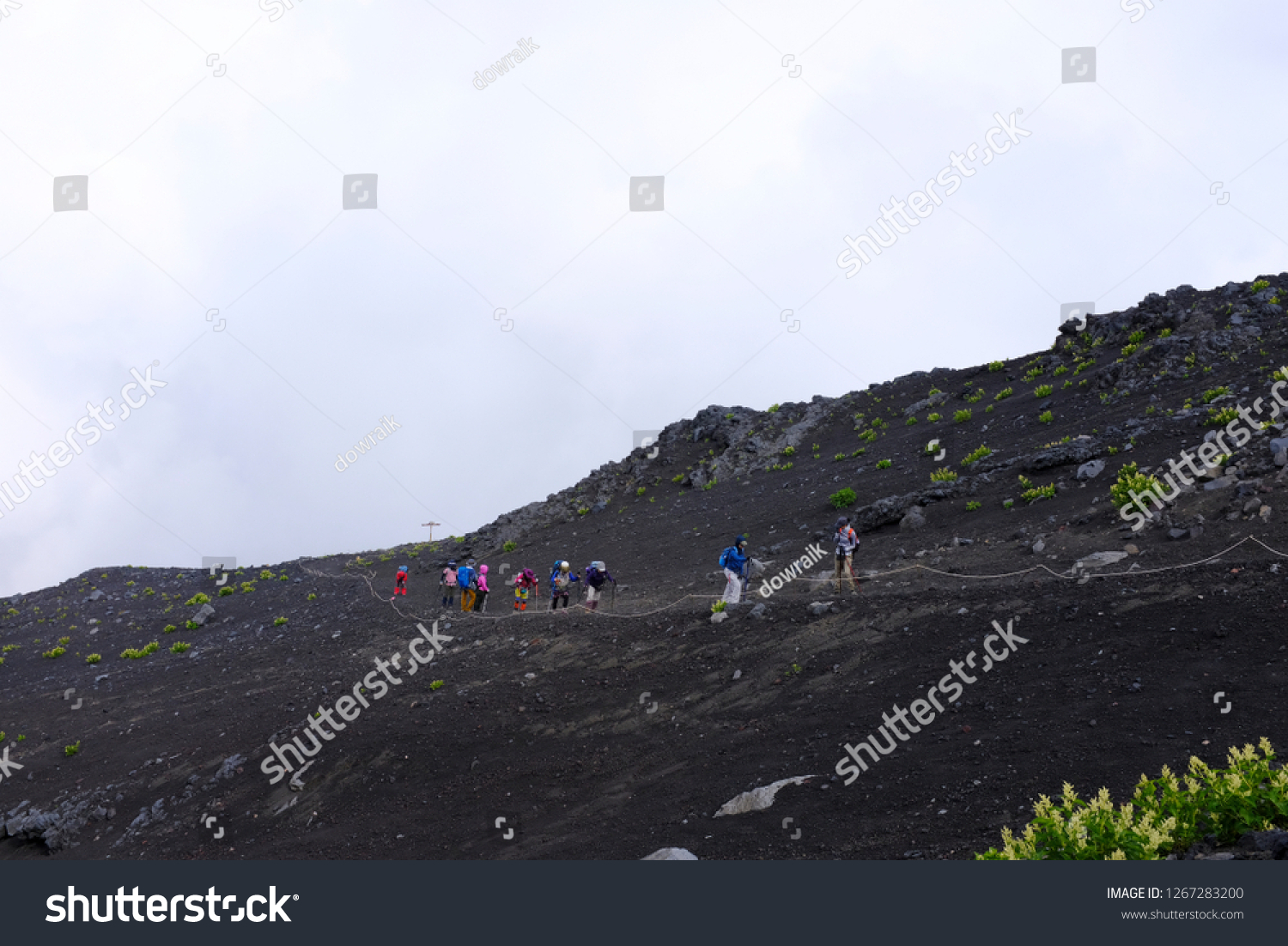 Subashiri Trail Mount Fuji Japan July Stock Photo Edit Now 1267283200