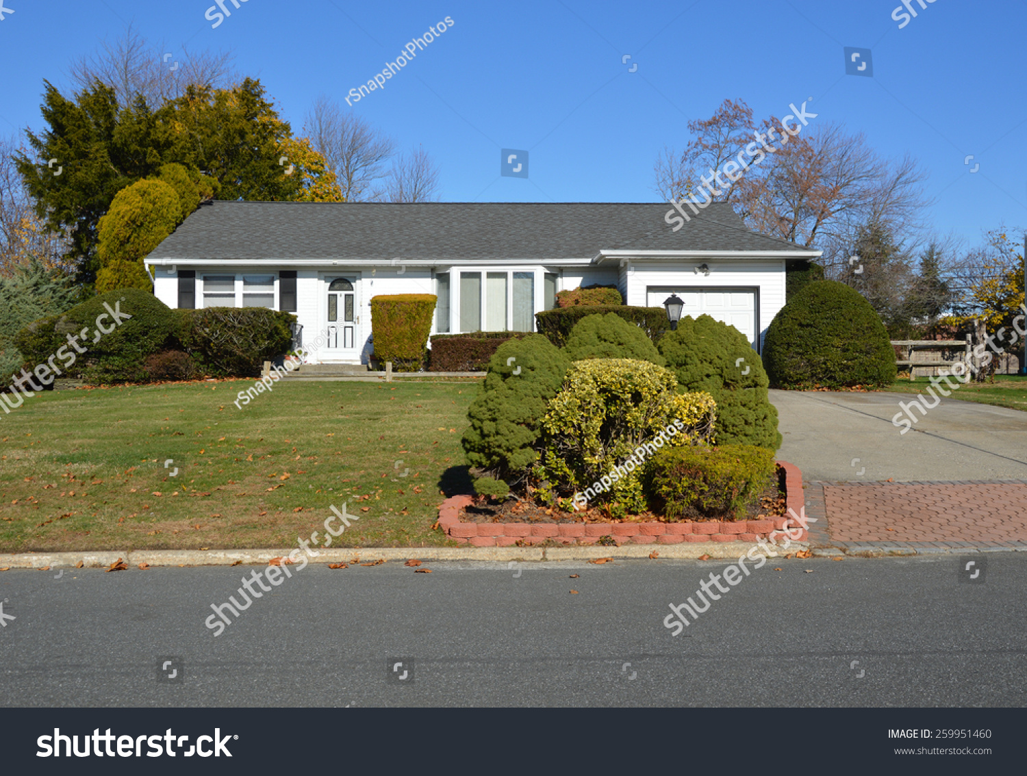 Suburban Ranch Style Home Hidden By Shrubs And Bushes Clear Blue Sky Residential Neighborhood Usa