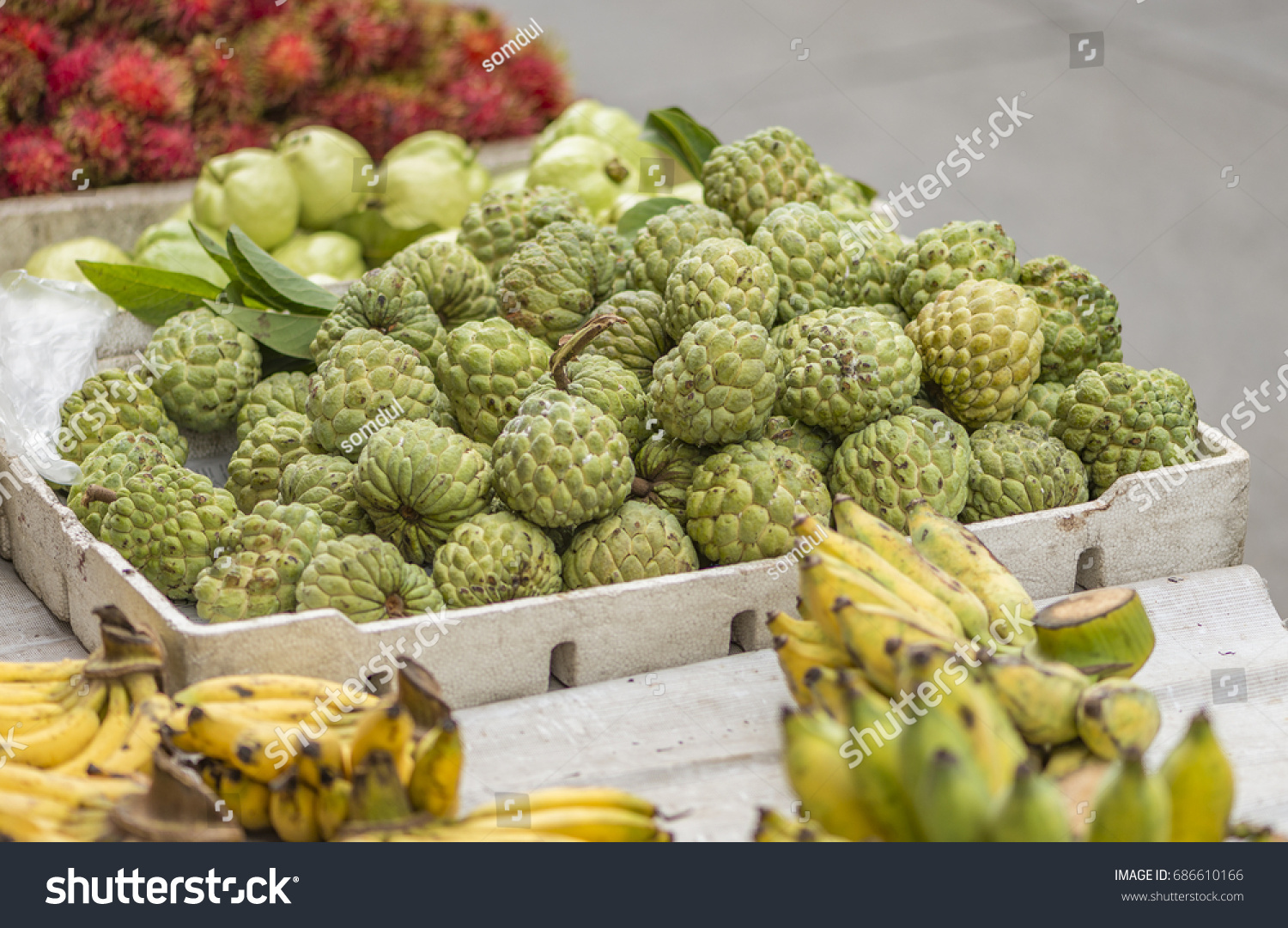 sugar apple many kind fruits sold stock photo (edit now) 686610166