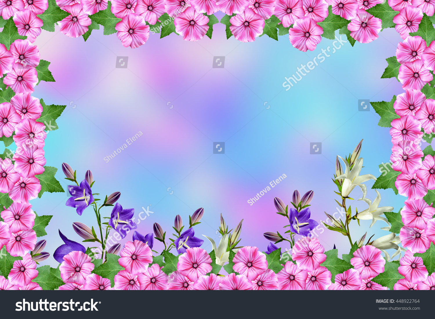 Summer Landscape Frame Beautiful Colorful Flowers Stock Photo 448922764 ...