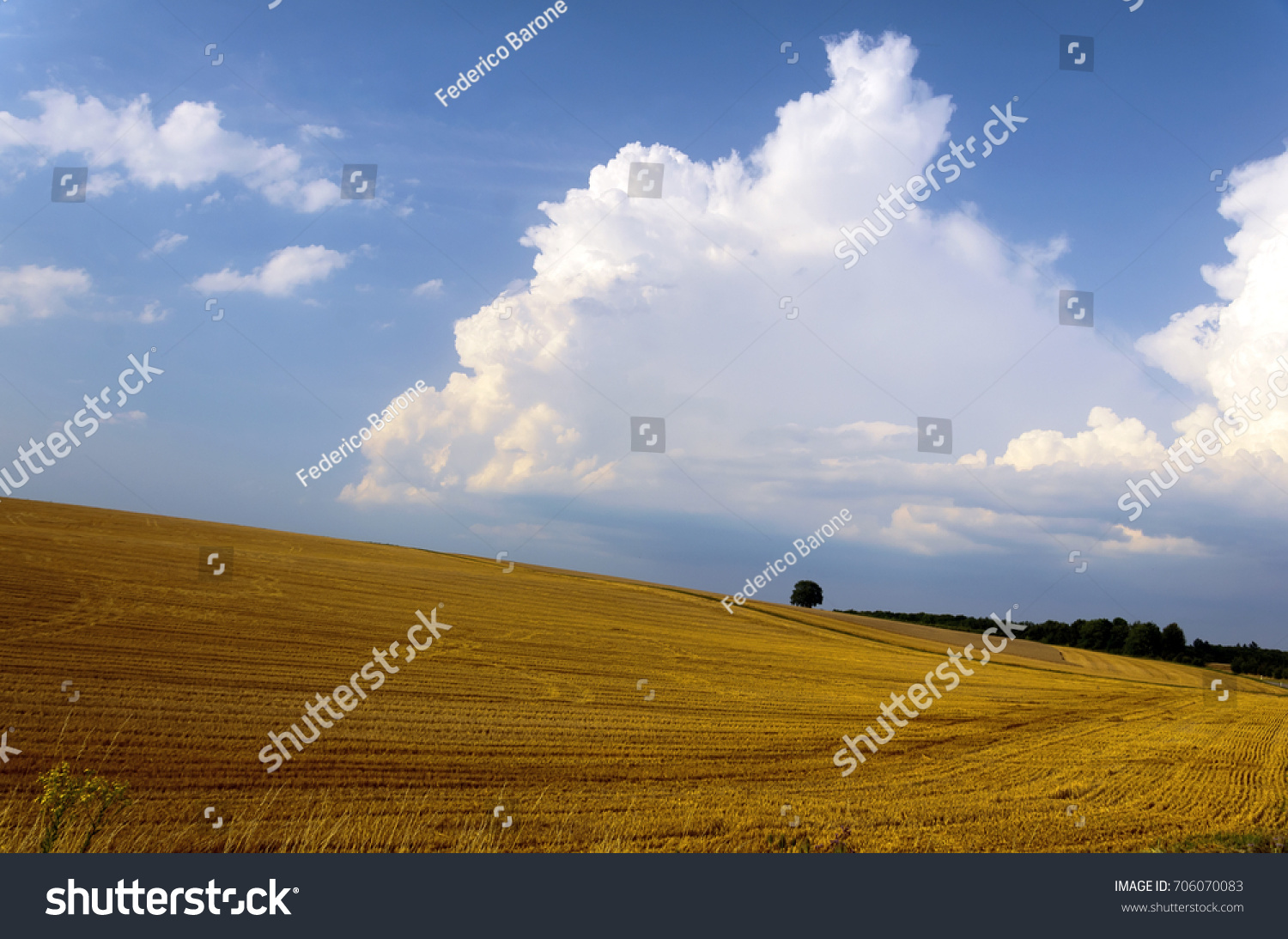 stock-photo-summer-landscape-wheat-field