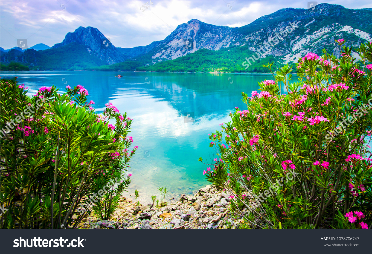 Najdete Stock Snimky Na Tema Summer Mountain Lake Flower Landscape V Hd A Miliony Dalsich Stock Fotografii Ilustraci A Vektoru Bez Autorskych Poplatku Ve Sbirce Shutterstock Kazdy Den Jsou Pridavany Tisice Novych Kvalitnich Obrazku