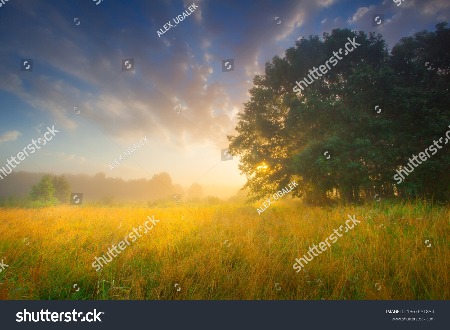 Summer Summer Dawn Summer Background Sunrise Stock Photo (Edit Now ...