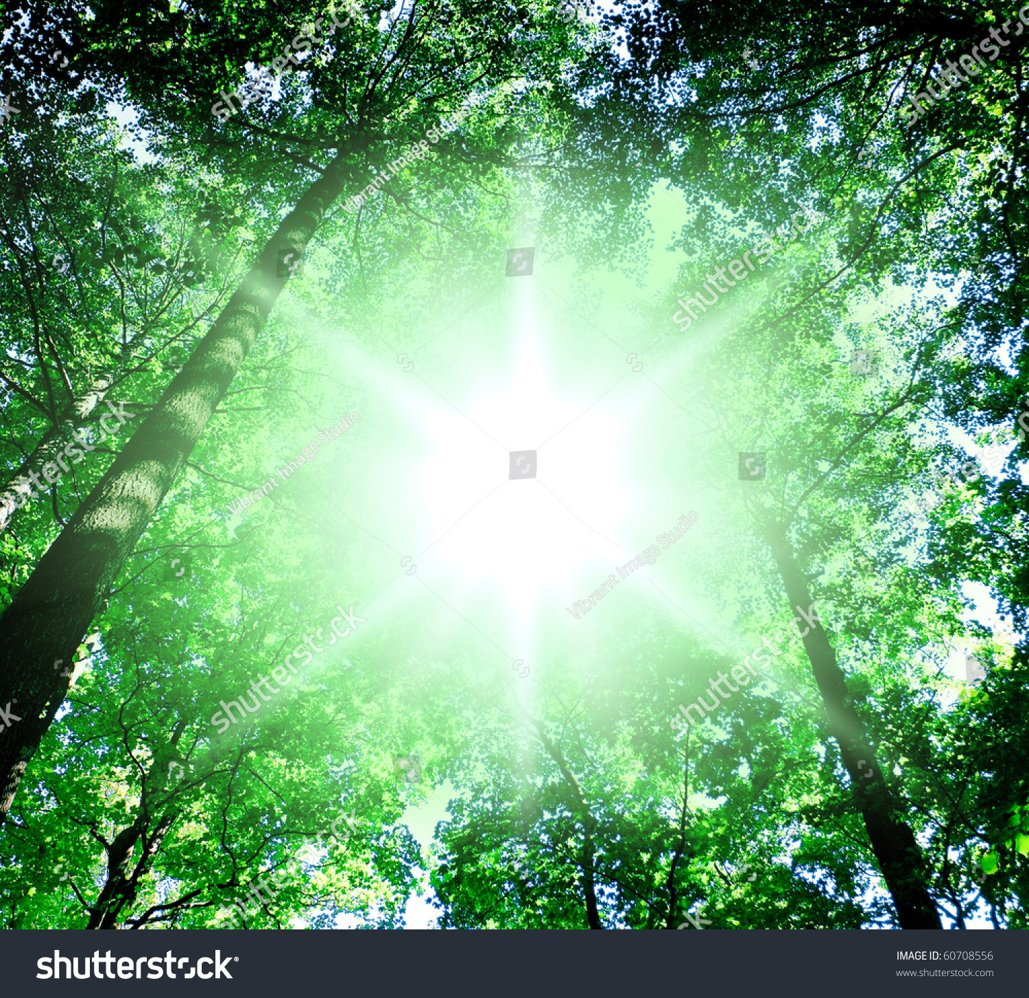 Sun Beaming Through Stock Photo 60708556 : Shutterstock