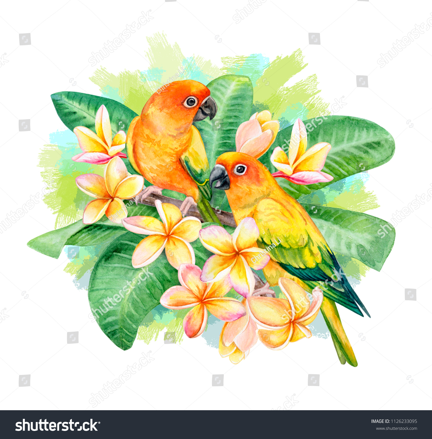 Sun Conure Parrot Sun Parakeet Birds Stock Illustration