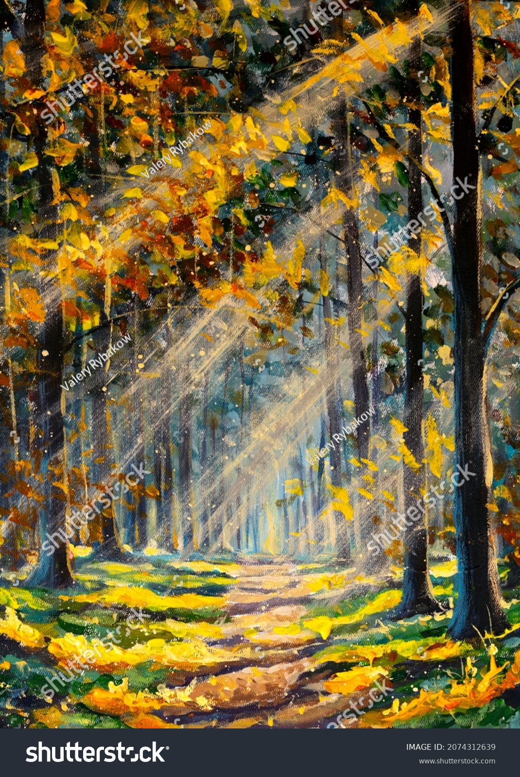 5,617 Forest sun path Stock Illustrations, Images & Vectors | Shutterstock