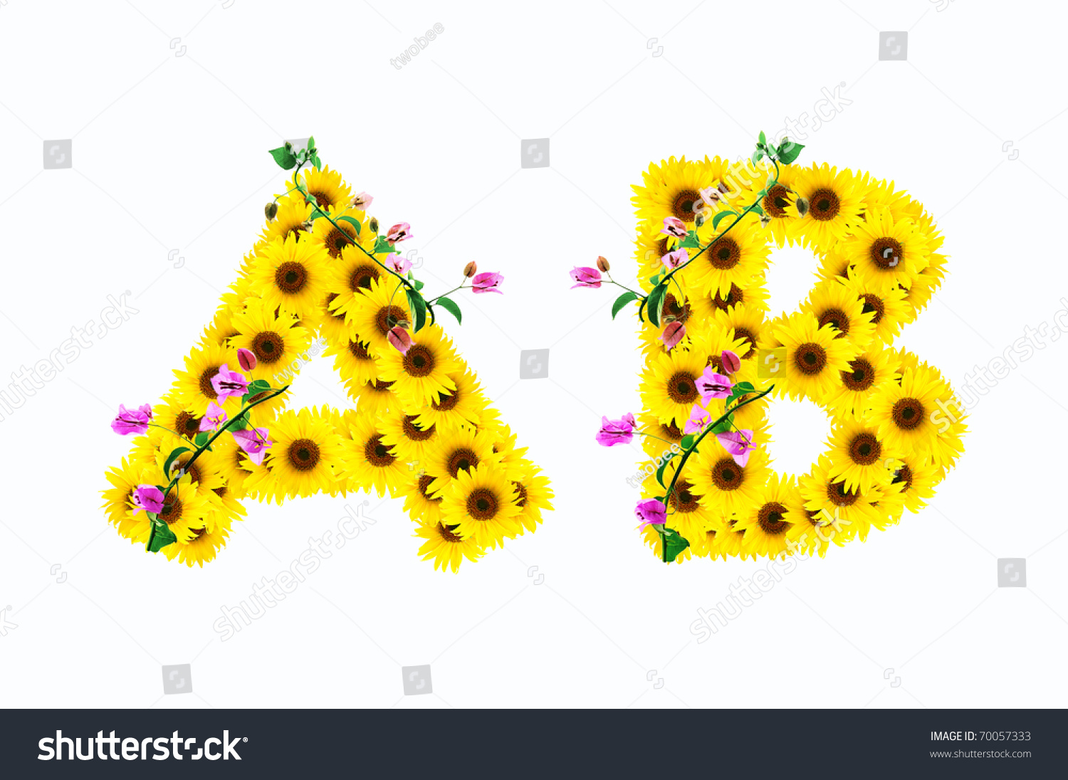 Sunflower Alphabet B Isolated On White Stock Photo 70057333 - Shutterstock