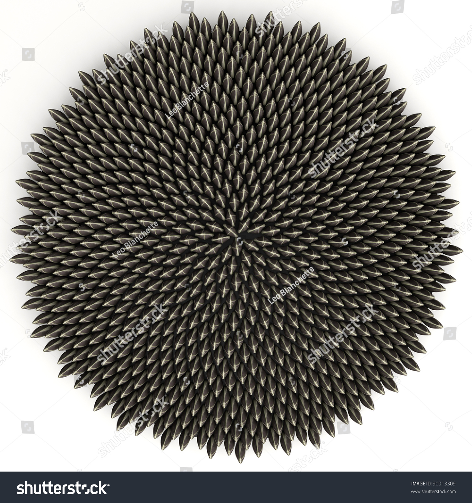 Sunflower Seeds Arranged According To Golden Angle By Computer Aided ...