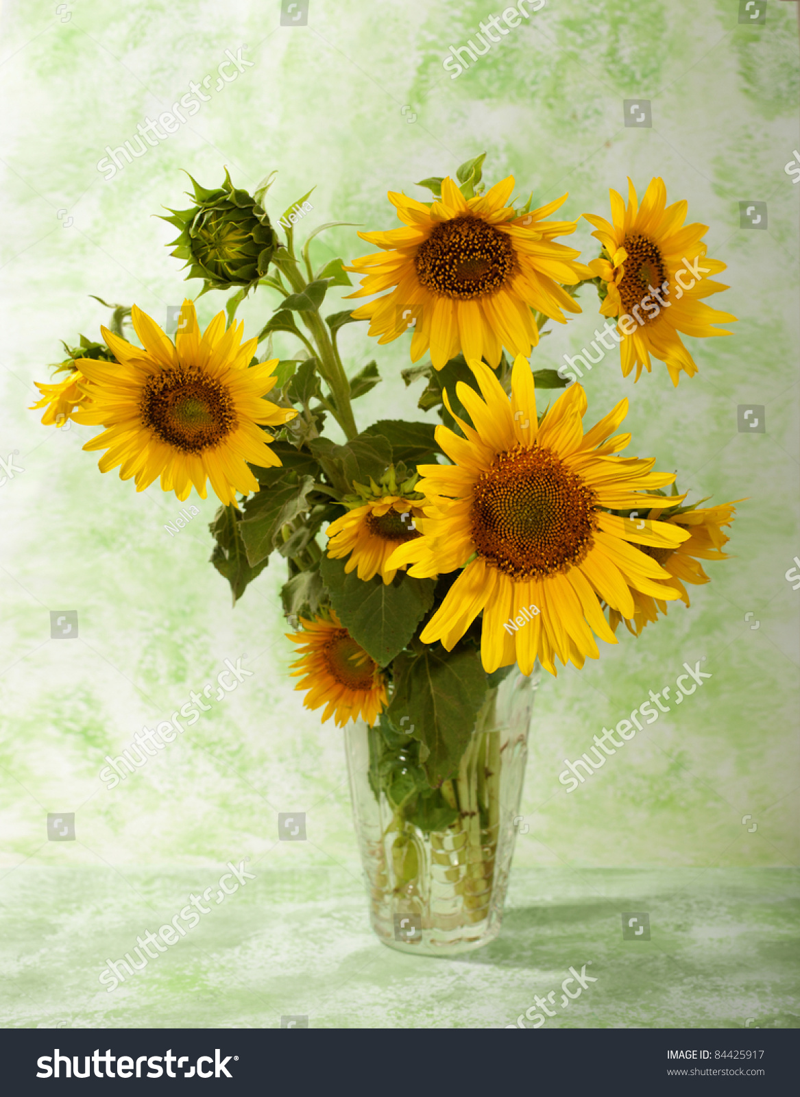 Sunflowers In A Transparent Glass Vase On Light Green Background Stock ...