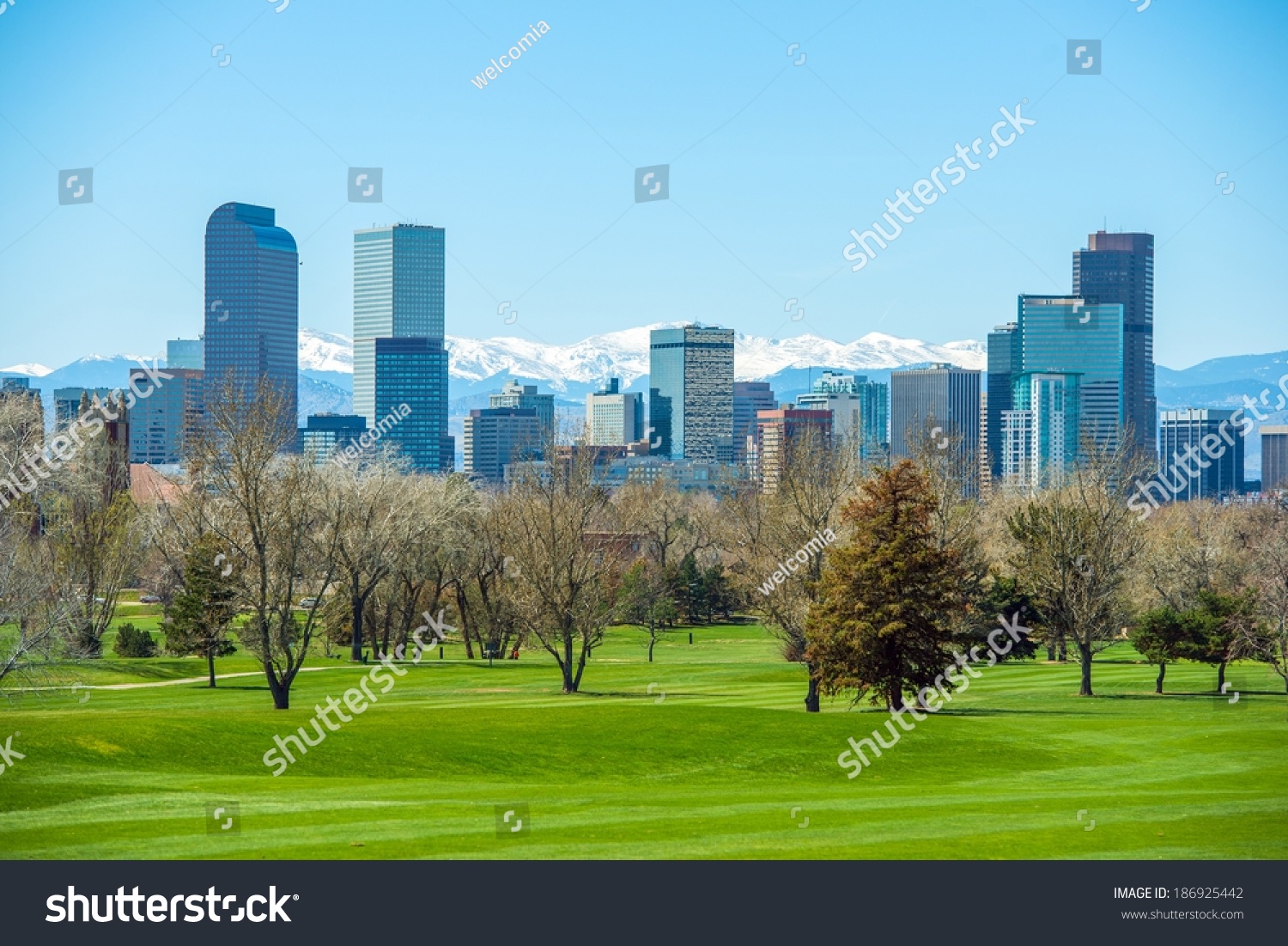 Sunny Denver Skyline. Spring In Colorado. Denver Skyline And Snowy ...