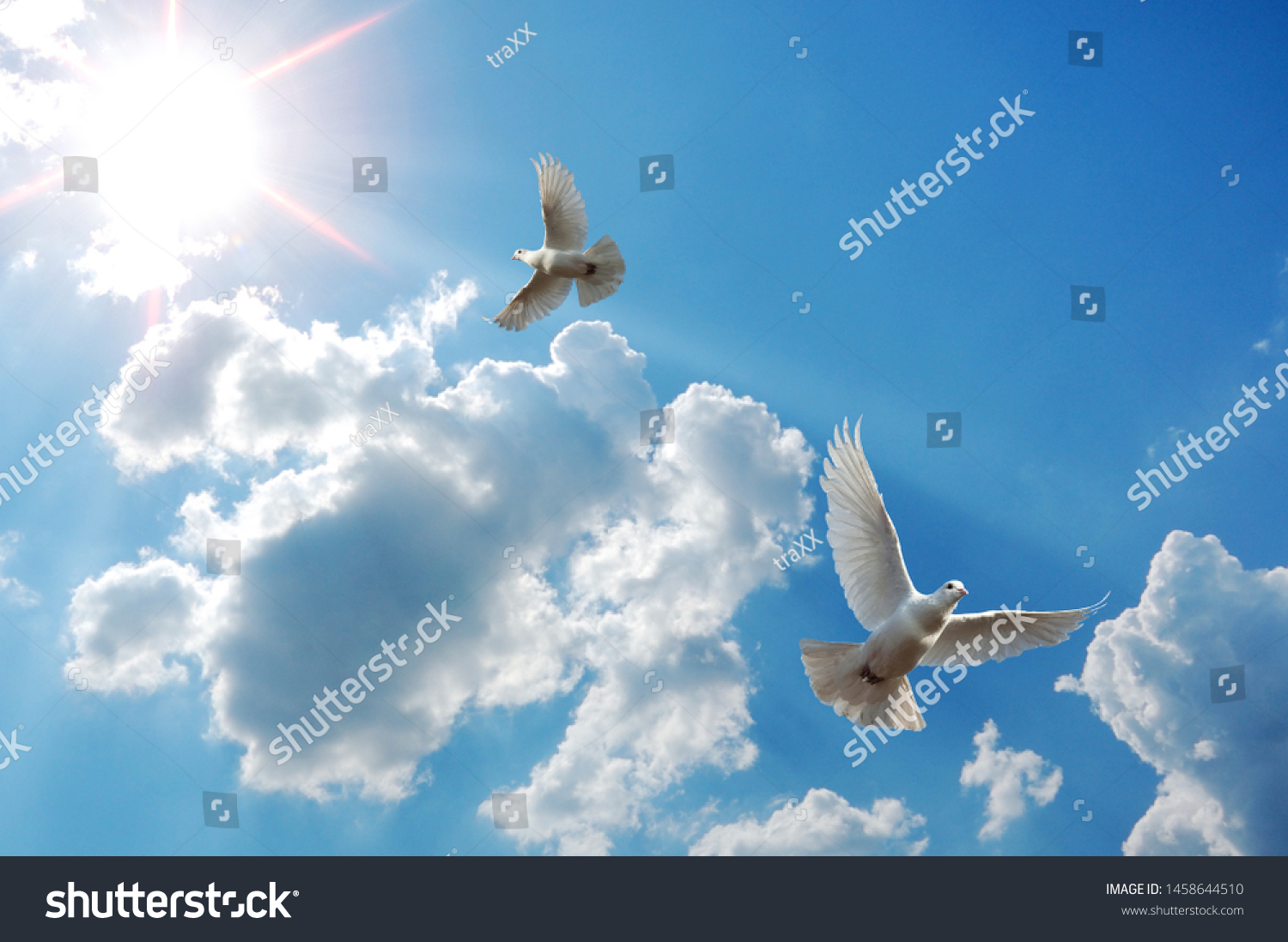 Sunny Sky Flying Doves Stock Photo 1458644510 | Shutterstock