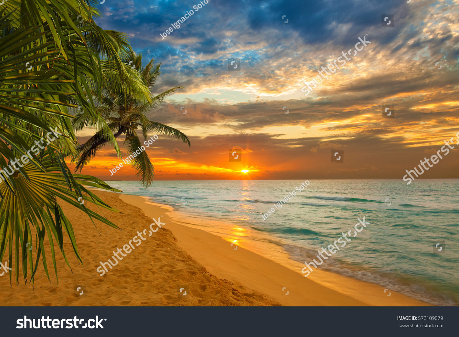 Sunrise Caribbean Beach Stock Photo (Edit Now) 572109079