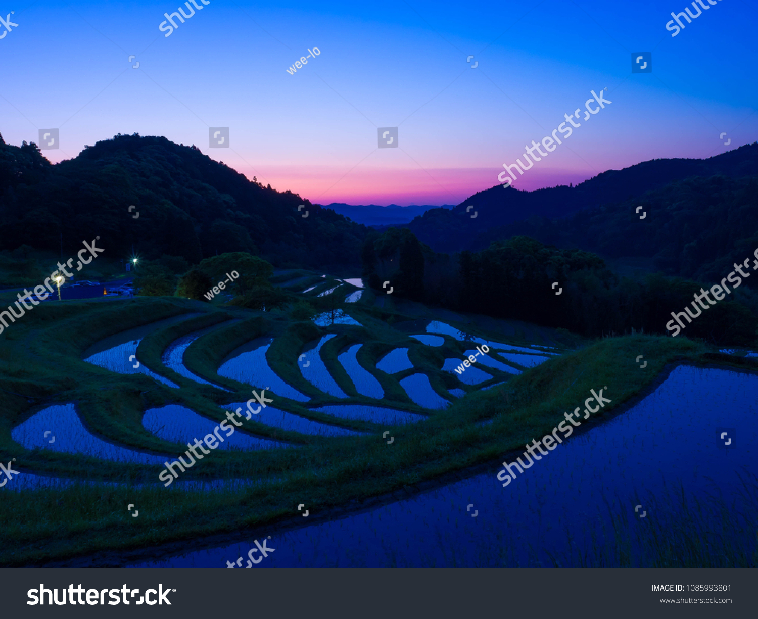 Sunrise Terraced Ricefields Oyama Senmaida Chiba Stock Photo Edit Now