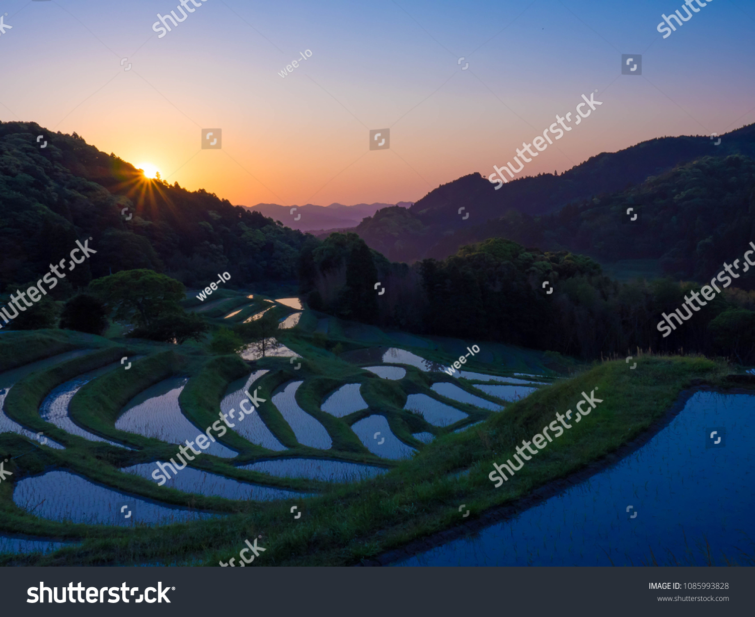 Sunrise Terraced Ricefields Oyama Senmaida Chiba Stock Photo Edit Now