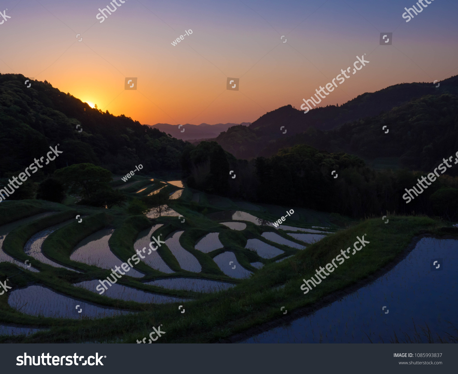 Sunrise Terraced Ricefields Oyama Senmaida Chiba Stock Photo Edit Now