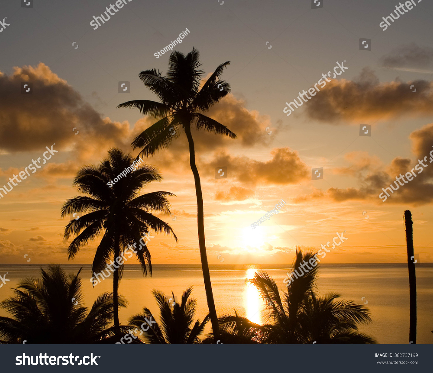 Sunset Stock Photo 382737199 : Shutterstock