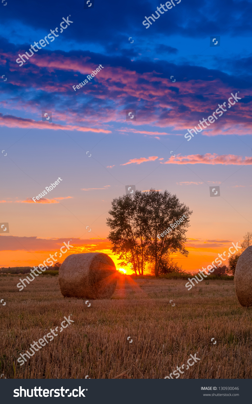 Sunset Field Tree Hay Bale Hungary Stock Photo Edit Now