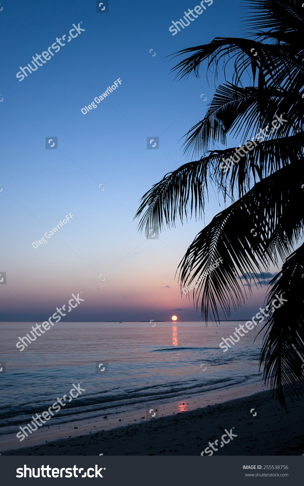 Sunset On The Beach Of Sea Stock Photo 255538756 : Shutterstock