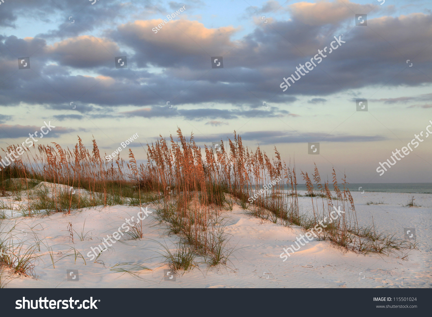 Sunset Sea Oats Sand Dunes On Stock Photo 115501024 - Shutterstock