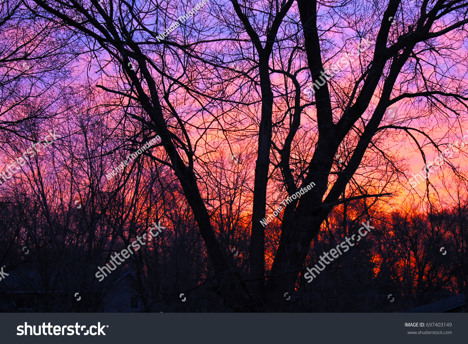 Sunset Trees Sunset Colorful Beauty Nature Stock Photo Edit Now