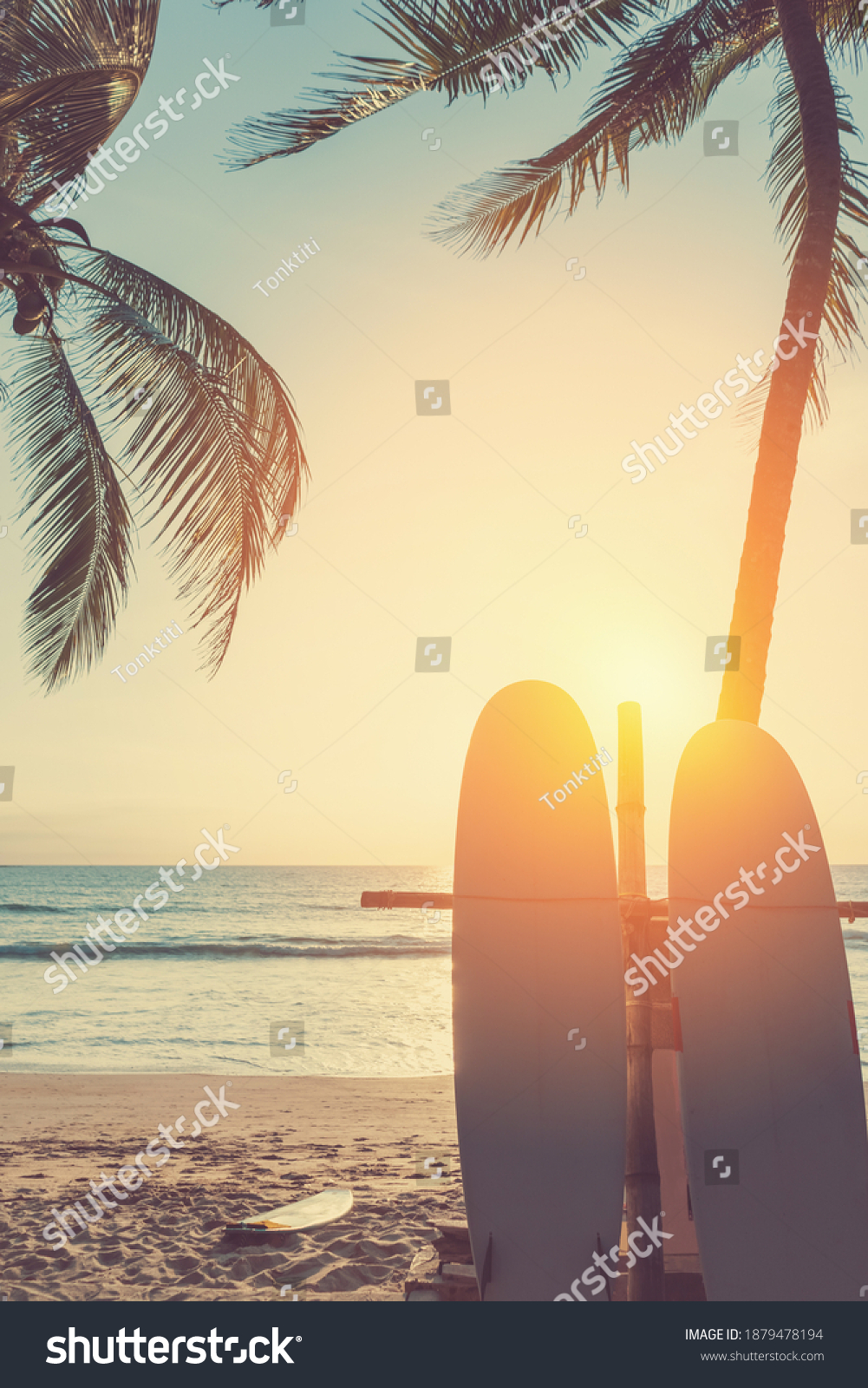 Surfboard Palm Tree On Tropical Sunset Stock Photo (Edit Now) 1879478194