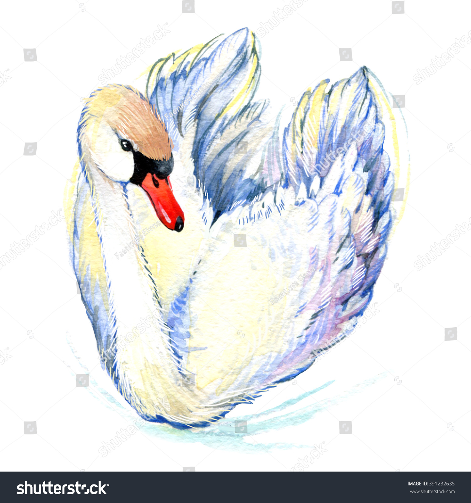 Swan Watercolor Illustration Stock Illustration 391232635 - Shutterstock