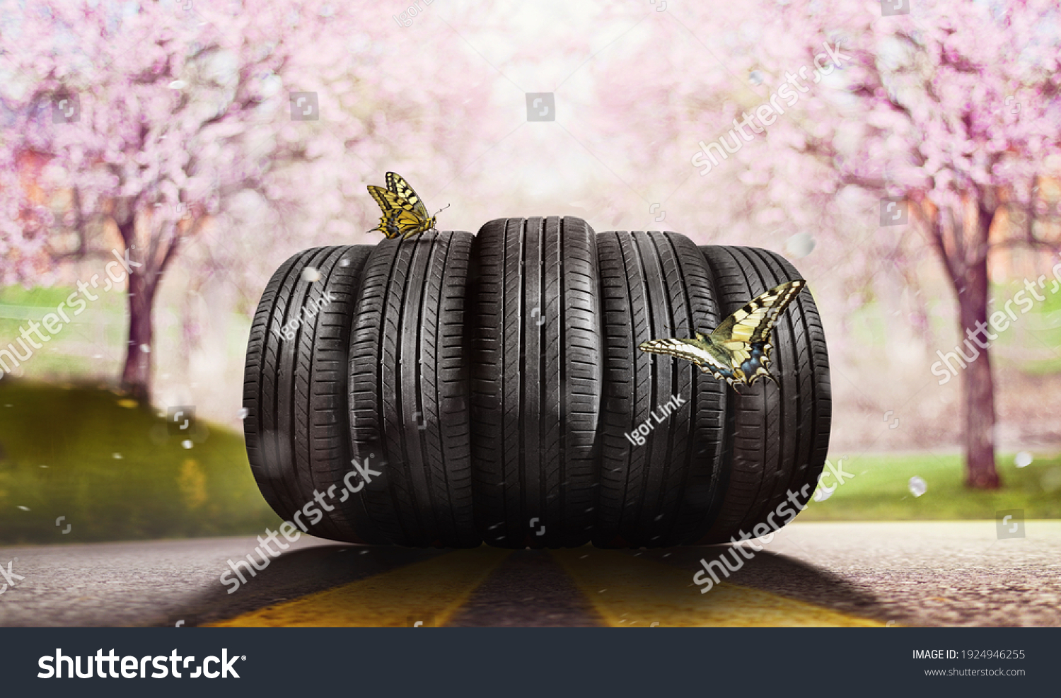 6 195 Tire Flowers Images Stock Photos Vectors Shutterstock   Stock Photo Swap Summer Tires For Winter Tires Time For Summer Tires 1924946255 