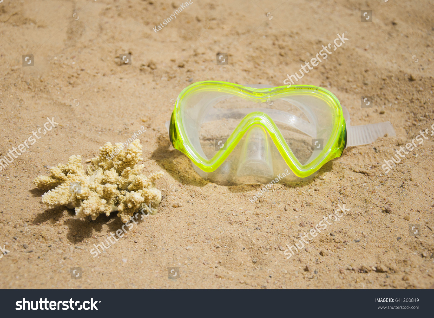 Download Swimming Mask Piece Yellow Coral On Nature Stock Image 641200849 PSD Mockup Templates