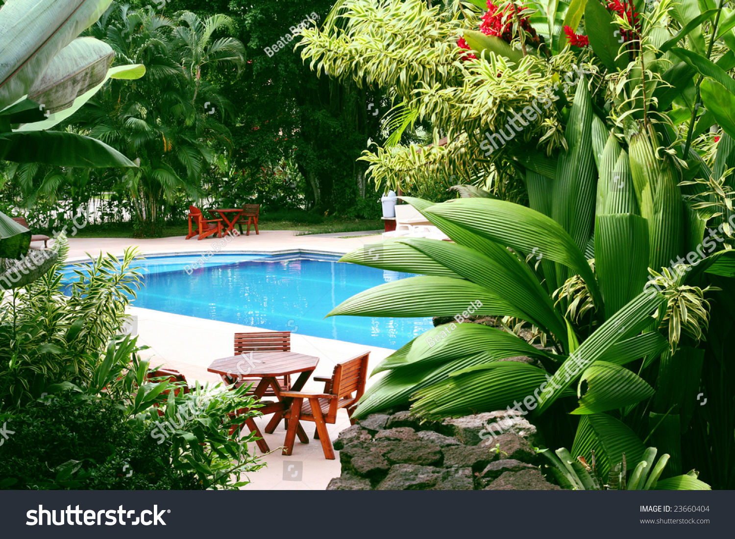 Swimming Pool Surrounded By Lush Tropical Stock Photo Edit Now  - Tropical Plants For Near Pool
