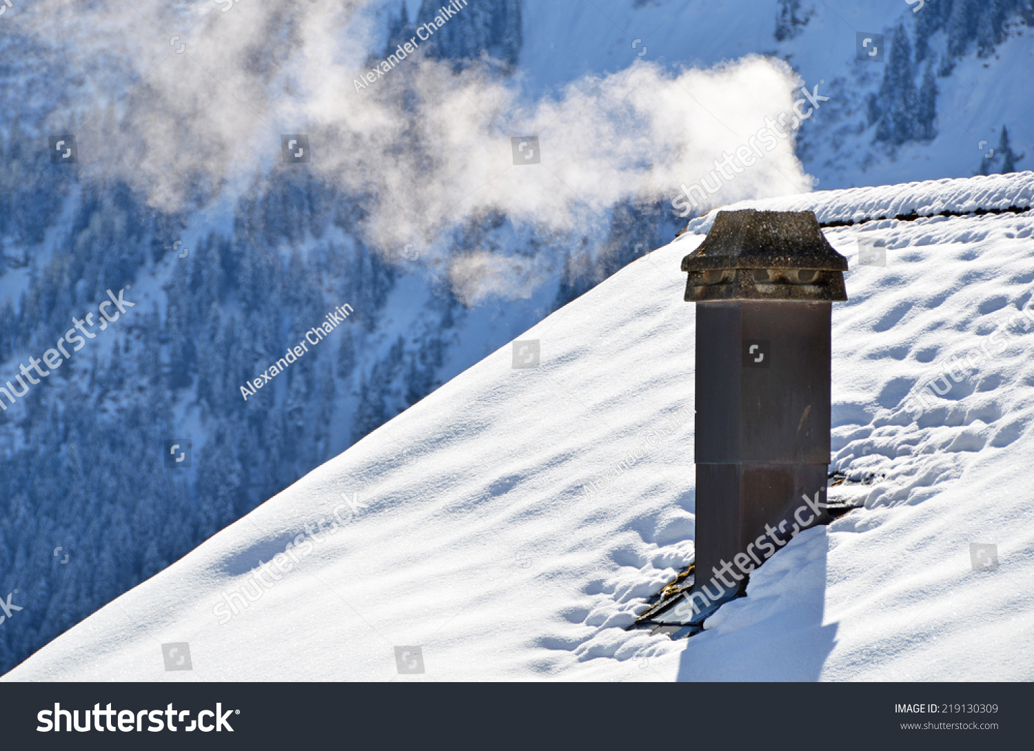 Swiss single stock options