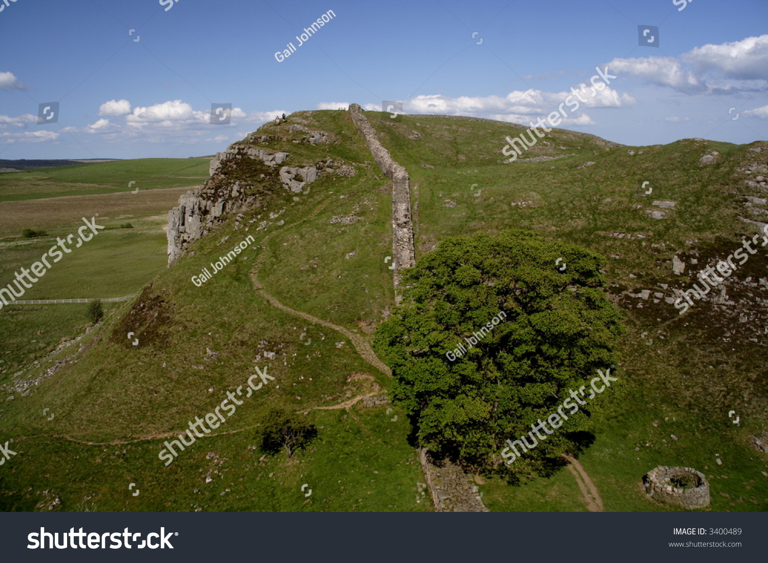 Sycamore Gap Used Filming Robin Hood Stock Photo 3400489 - Shutterstock