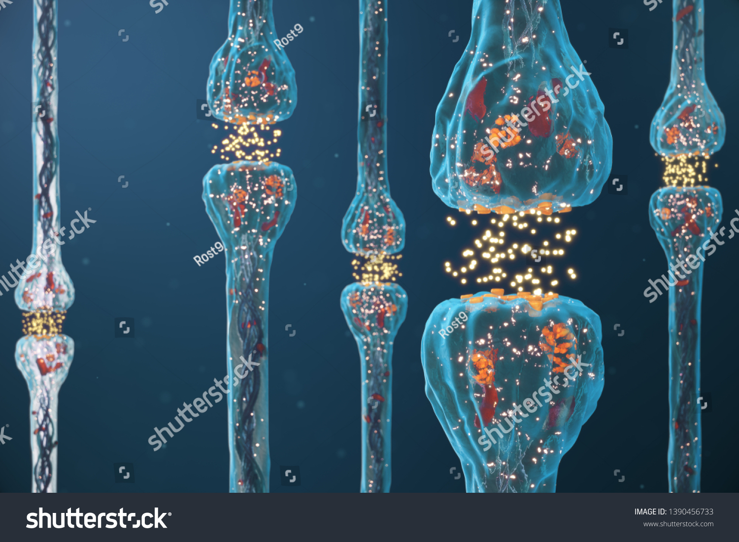 Synaptic Transmission Human Nervous System Concept Stock Illustration ...