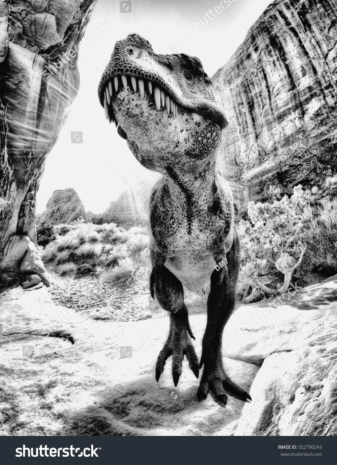 t rex black and white