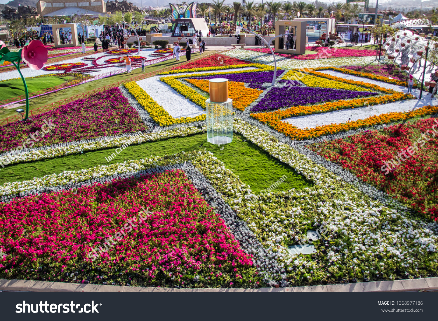 Taif rose garden Taif Rose