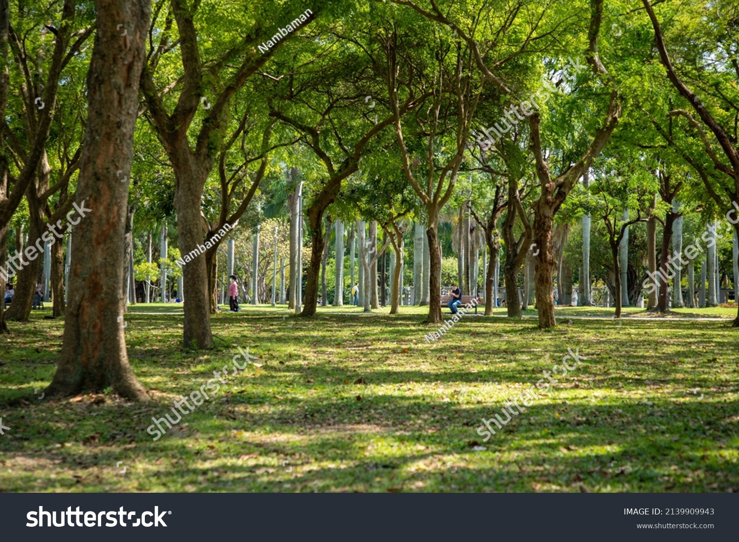 Taipei City Taiwanmarch12 2022 Daan Forest Stock Photo 2139909943 ...