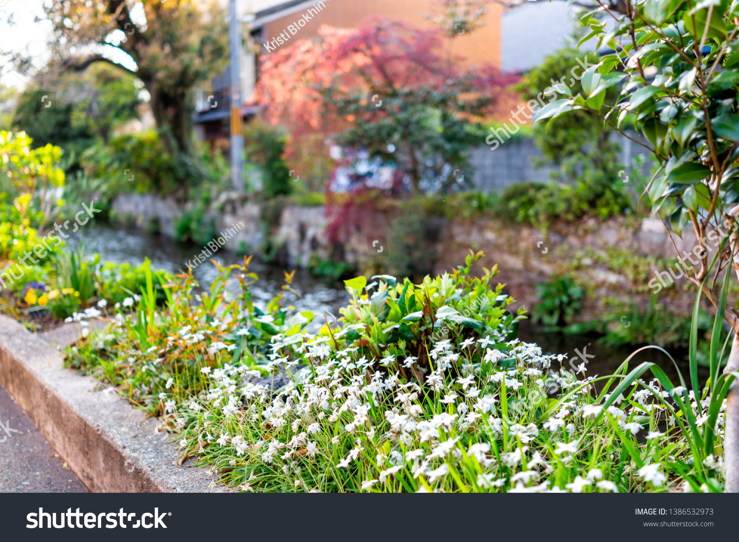 Takase River Canal Kyoto Residential Neighborhood Stock Photo Edit Now